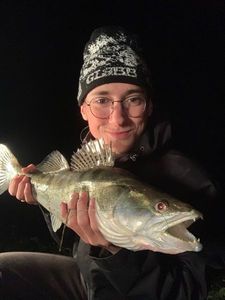 Zander