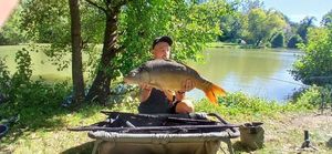 Mirror Carp