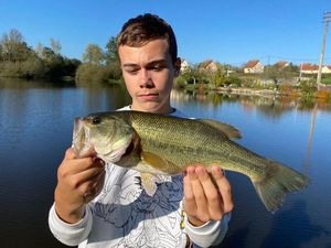 Largemouth Bass