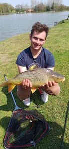 Common Carp