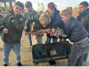 European Sturgeon