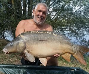 Mirror Carp