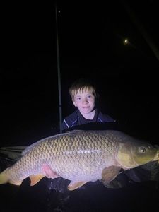 Common Carp