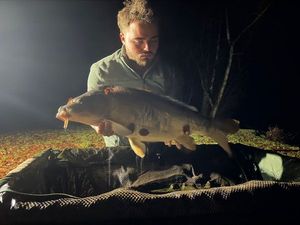 Mirror Carp
