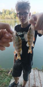 European Perch