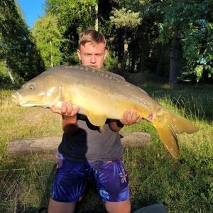 Mirror Carp