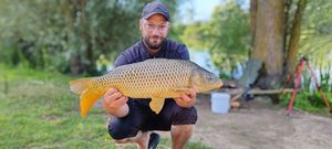 Common Carp