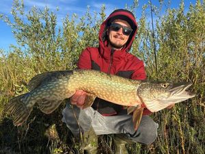Northern Pike