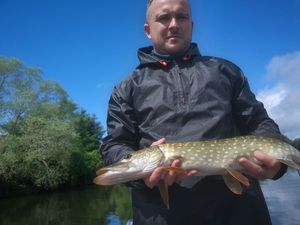 Northern Pike