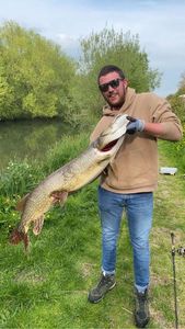 Northern Pike