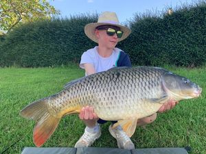 Common Carp
