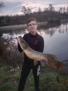Northern Pike