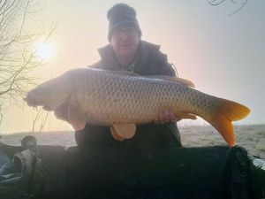Common Carp