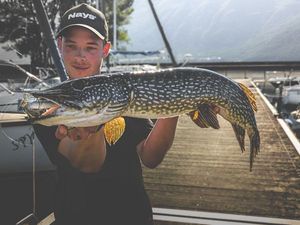 Northern Pike