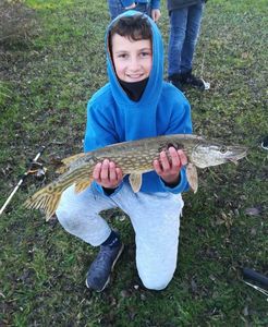 Northern Pike