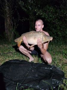 Mirror Carp