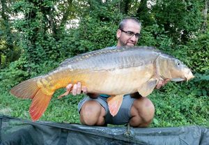 Mirror Carp