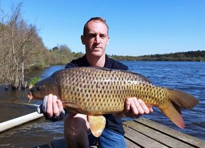 Mirror Carp