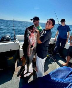 Bluefin Tuna