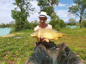 Mirror Carp