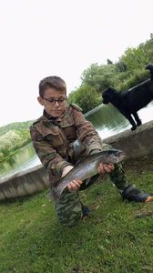 Rainbow Trout