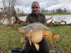 Mirror Carp