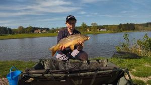 Mirror Carp