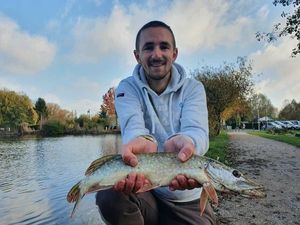 Northern Pike