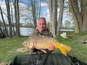 Mirror Carp