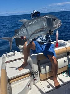 Giant Trevally (GT)