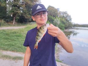 European Perch