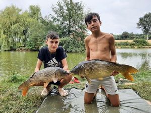 Common Carp