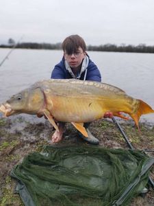 Mirror Carp