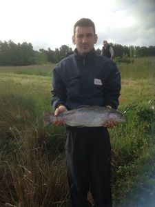 Rainbow Trout