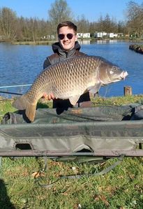 Common Carp