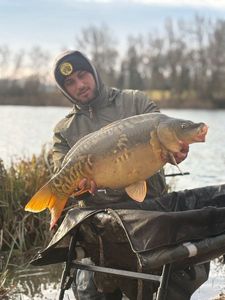Leather Carp