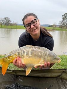 Mirror Carp