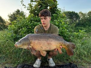 Mirror Carp