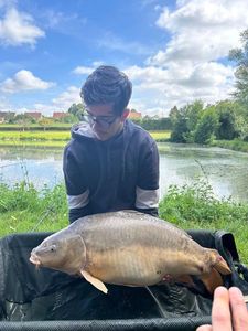 Mirror Carp