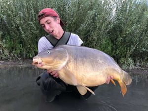 Mirror Carp
