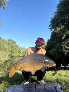 Mirror Carp