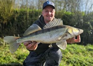 Zander