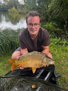 Mirror Carp