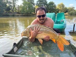 Mirror Carp