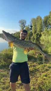 Northern Pike
