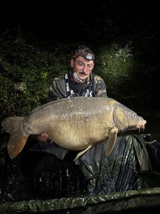 Mirror Carp