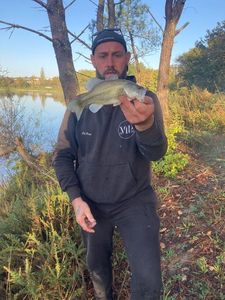Largemouth Bass