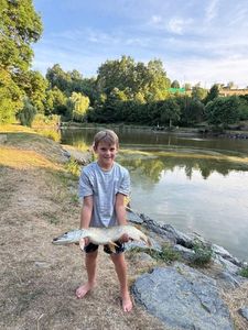 Northern Pike
