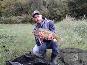 Common Carp