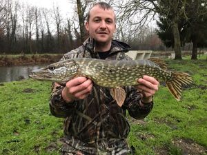 Chain Pickerel